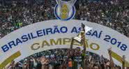 Palmeiras comemora o título do Campeonato Brasileiro de 2018 - Getty Images