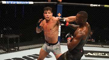 Dana White critica atuação de Borrachinha no UFC 253: “Adesanya o fatiou pedaço por pedaço e fez parecer uma vitória fácil” - GettyImages