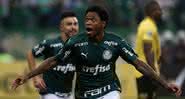 Palmeiras conquista mais três pontos na fase de grupos da Libertadores 2020 - Cesar Greco/Ag Palmeiras/Divulgação