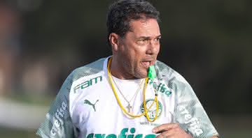Palmeiras entrará em campo nesta quarta-feira, 15 - Divulgação/Cesar Greco/Palmeiras