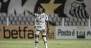 Marinho segue sendo importante para o Santos - Ivan Storti / Santos FC / Flickr