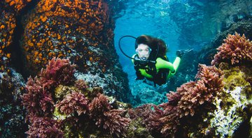 5 produtos para mergulho - Getty Images