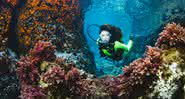 5 produtos para mergulho - Getty Images