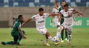 Palmeiras voltou a vencer na temporada - Cesar Greco / Palmeiras / Flickr