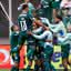Palmeiras vibrando com gol diante do Goiás