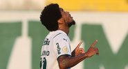 Luiz Adriano desabafou sobre vitória do Palmeiras contra Chapecoense - Cesar Greco / Palmeiras