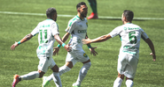 Jogadores do Cuiabá comemorando o gol diante do Palmeiras no Brasileirão - GettyImages