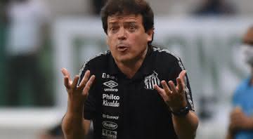 Fernando Diniz saiu na bronca com arbitragem de Palmeiras e Santos - Ivan Storti/Santos FC