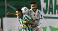Com direito a gol de Deyverson, Palmeiras vence Juventude pelo Brasileirão - Cesar Greco/Palmeiras/Fotos Públicas