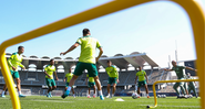 FIFA Palmeiras de usar camisa reserva contra o Chelsea - Flickr - Palmeiras/Fabio Menotti