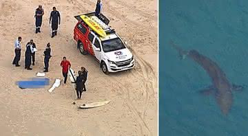 Surfista de 60 anos morre após ataque de tubarão na Austrália - Transmissão/ 9 News