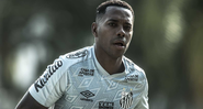 Condenado na Itália, Robinho ainda tem o desejo de jogar futebol - Ivan Storti/Santos FC