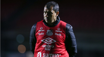 Fábio Carille ainda não sabe se vai continuar no Santos para as próximas temporadas - GettyImages