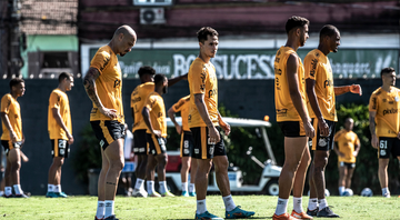 Santos tem mais uma novidade para o elenco - Ivan Storti / Santos FC / Flickr