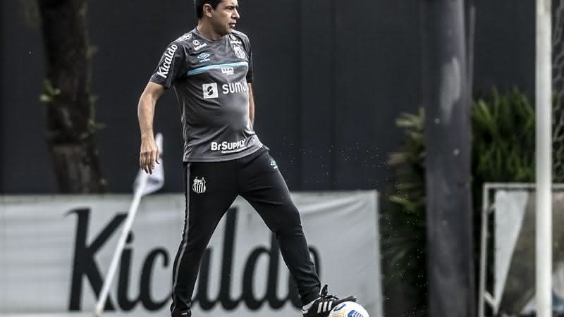 Fábio Carille ganhou apoio de Edu Dracena no Santos - Ivan Storti/Santos FC