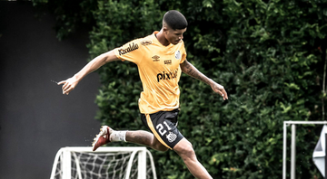 Santos segue treinamento para jogo da Sul-Americana - Ivan Storti/Santos FC/Flickr
