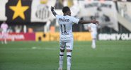 Marinho não conseguiu evitar derrota do Santos no Brasileirão para o América-MG - Ivan Storti/Santos FC