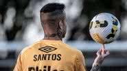 Santos deve colocar Luan entre os titulares - Ivan Storti / Santos FC / Flickr