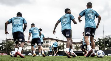 Santos promete fazer de tudo para seguir na Série A - Ivan Storti / Santos FC / Flickr