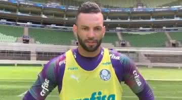 Weverton, do Palmeiras - Reprodução Twitter