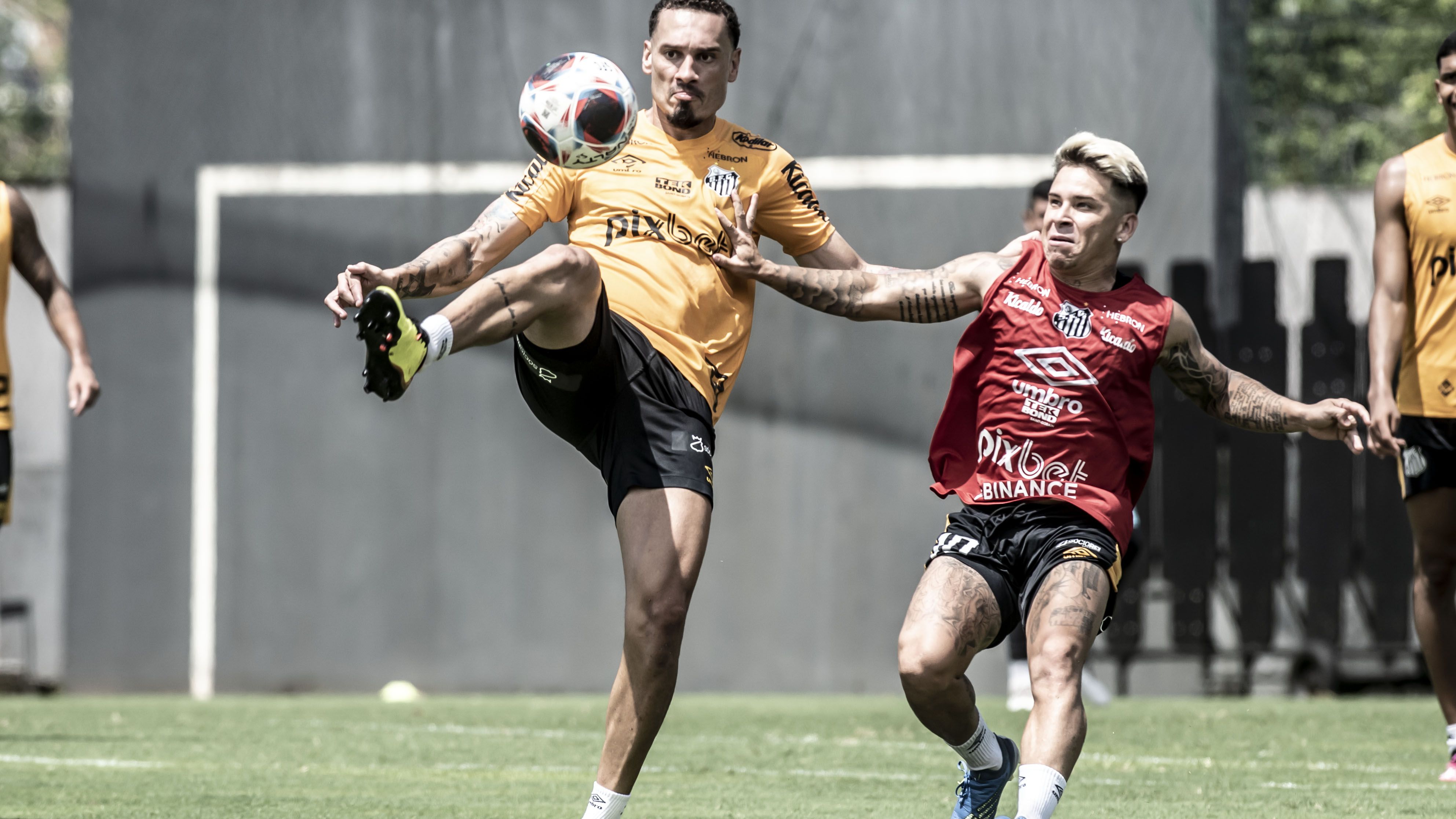 Santos se prepara para início da temporada 2023