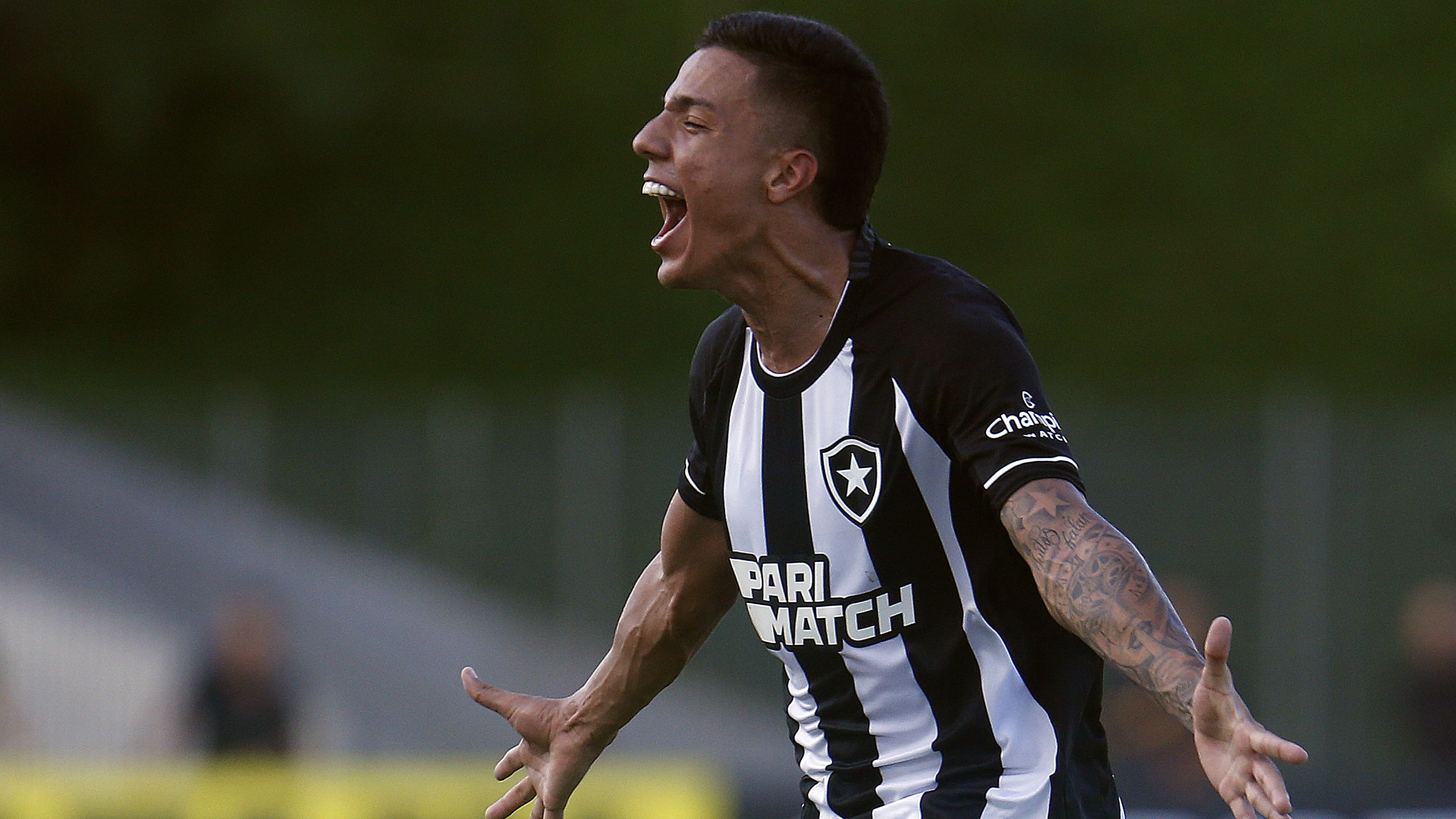 Botafogo confirma vitória fora de casa