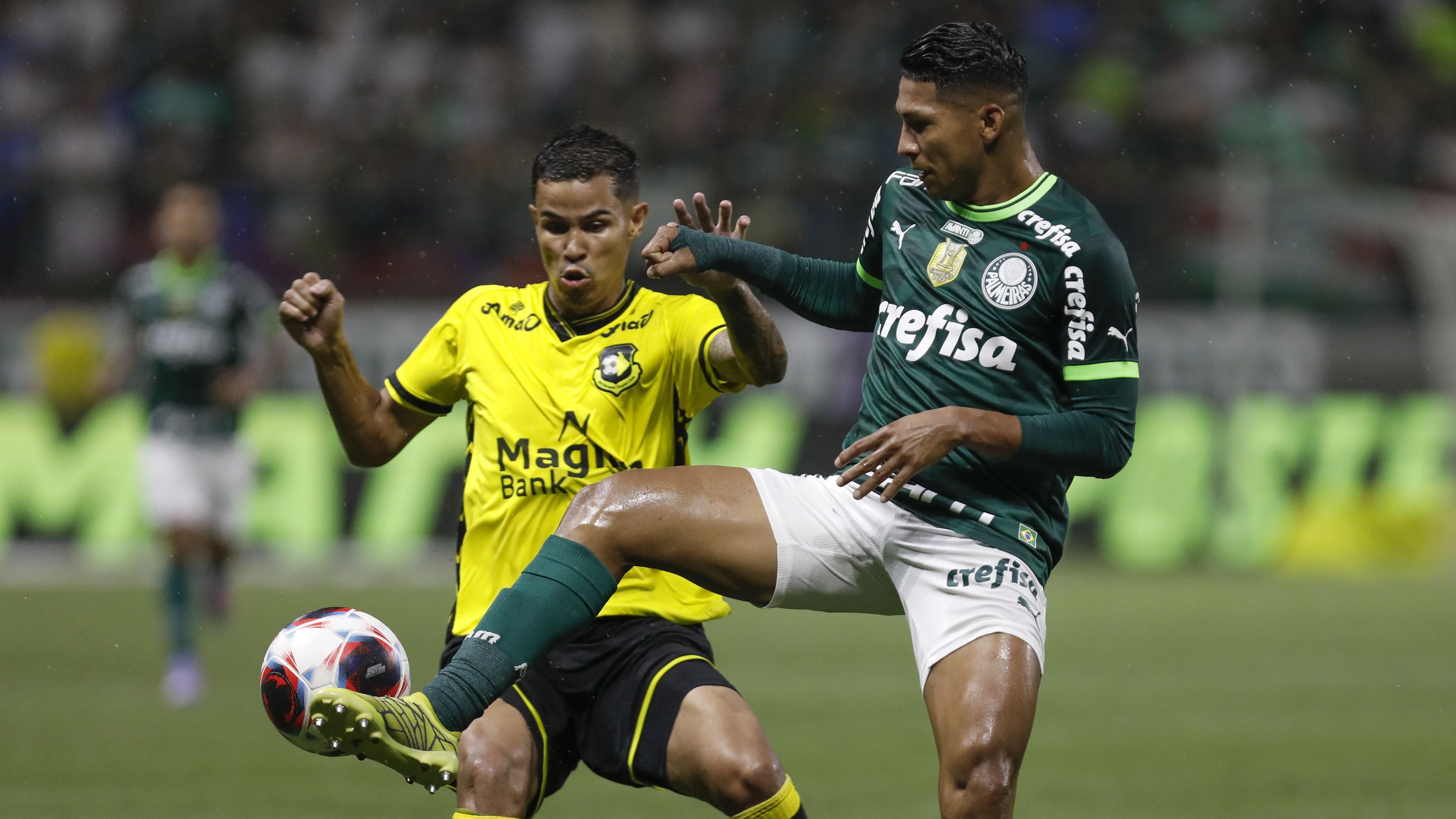 Duelo complicado entre Palmeiras e São Bernardo (Crédito: Getty Images)