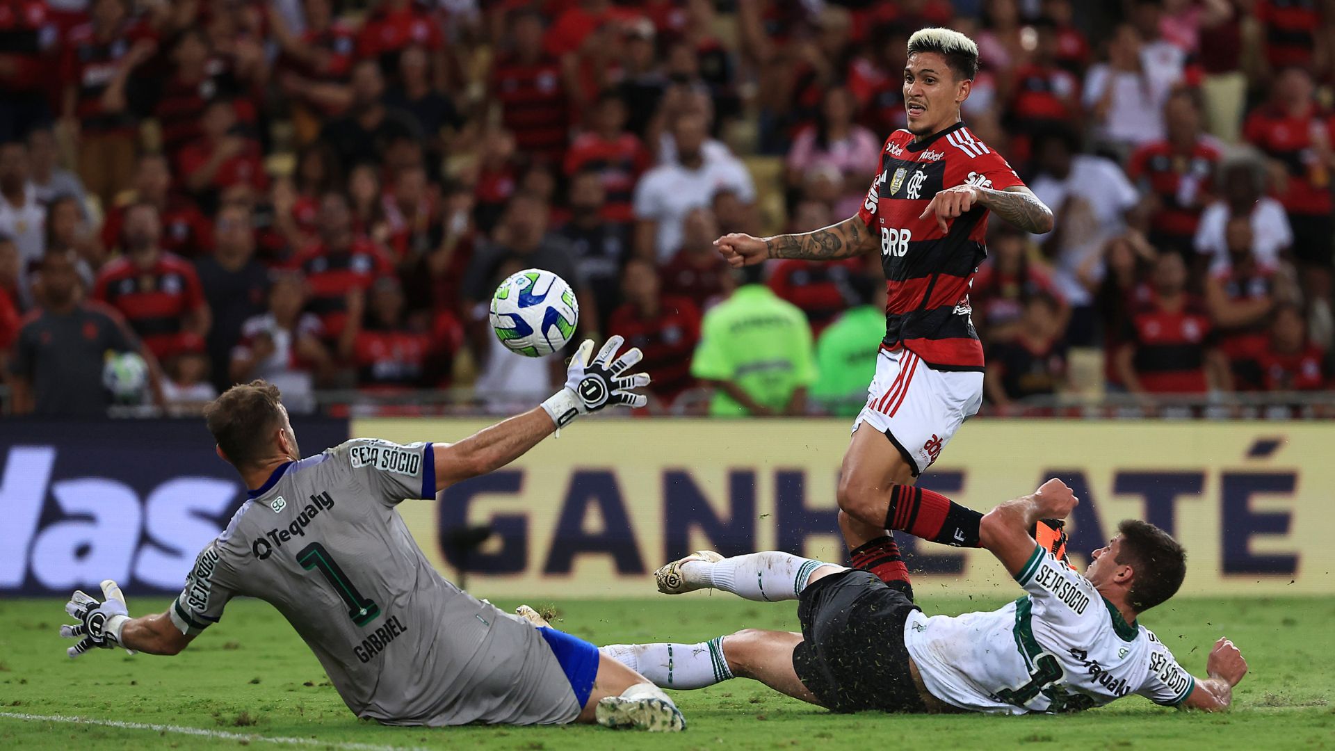 Flamengo em campo contra o Coritiba no Brasileirão 2023