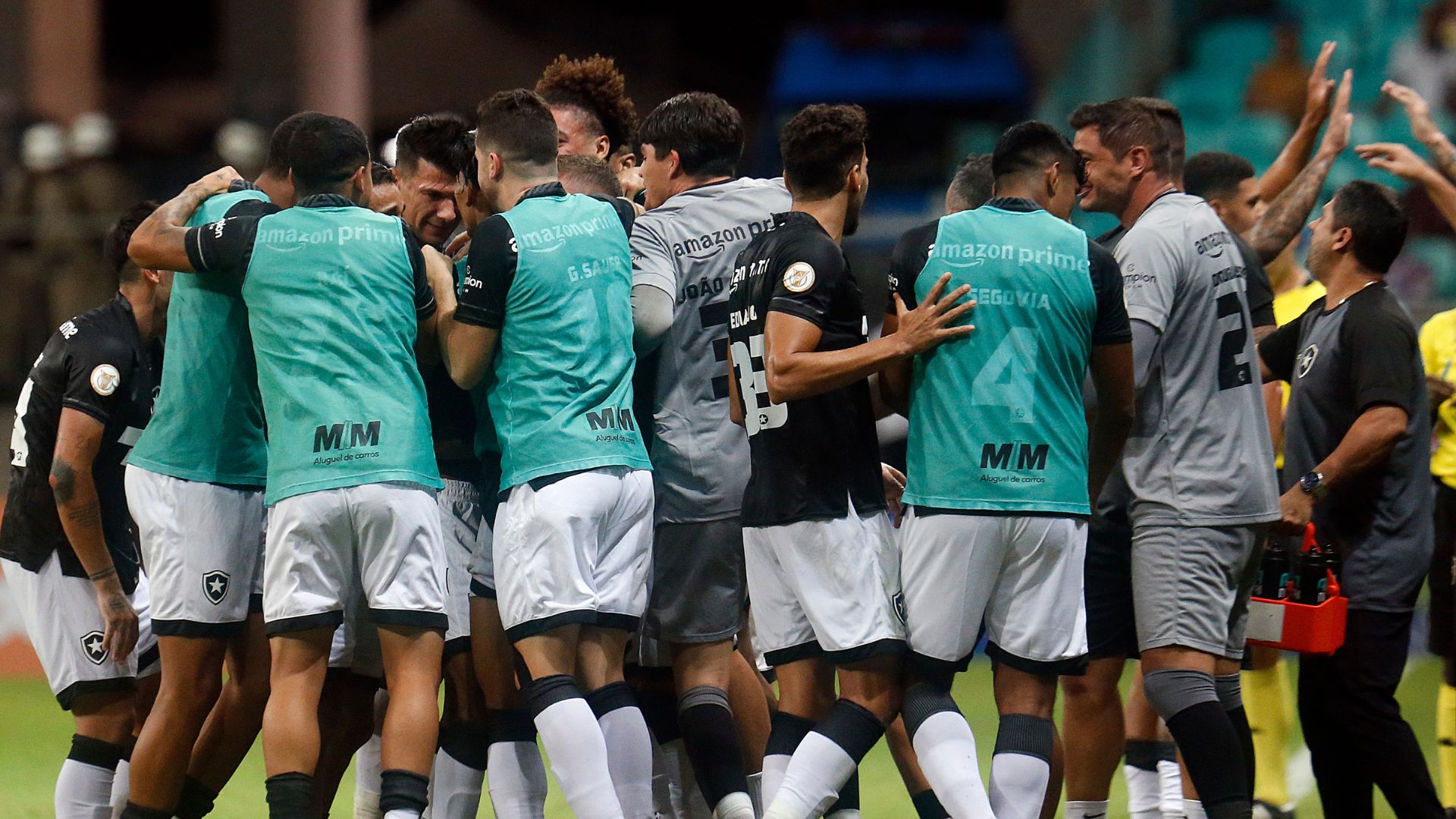 Botafogo em campo no Brasileirão 2023
