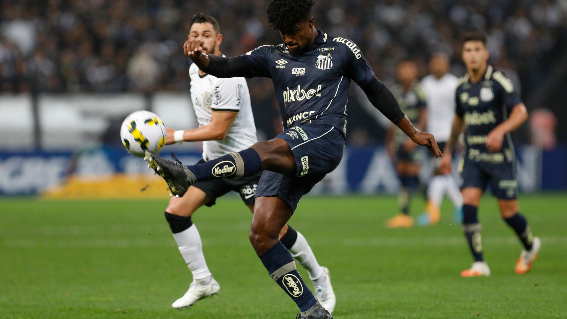 Bauermann em ação pelo Santos