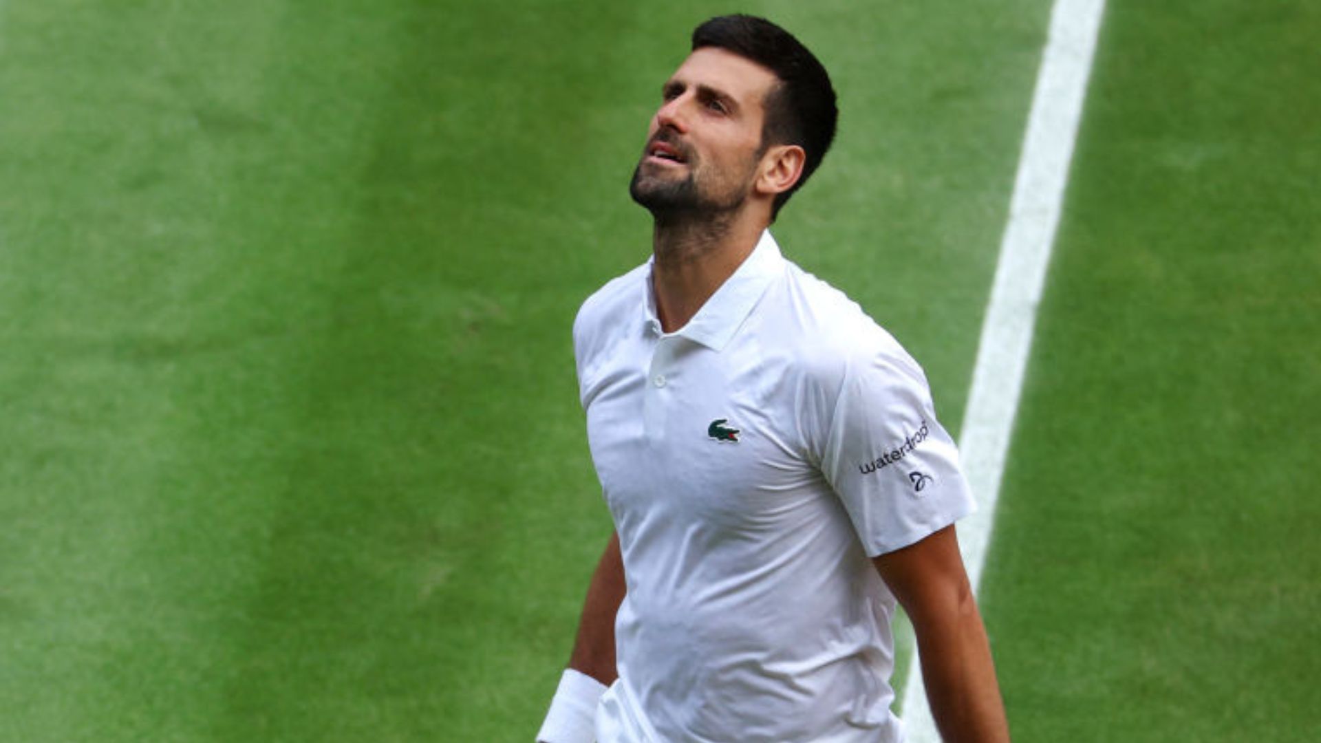 Djokovic e Alcaraz fazem duelo de gerações na final de Wimbledon