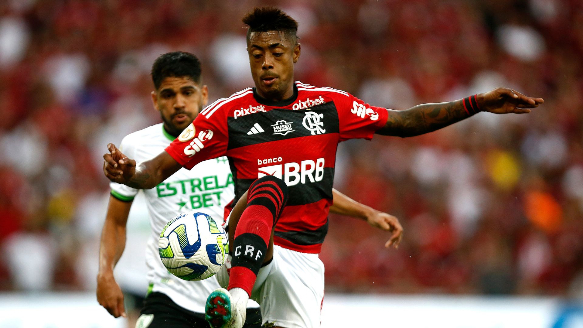 Flamengo x América-MG no Brasileirão 2023