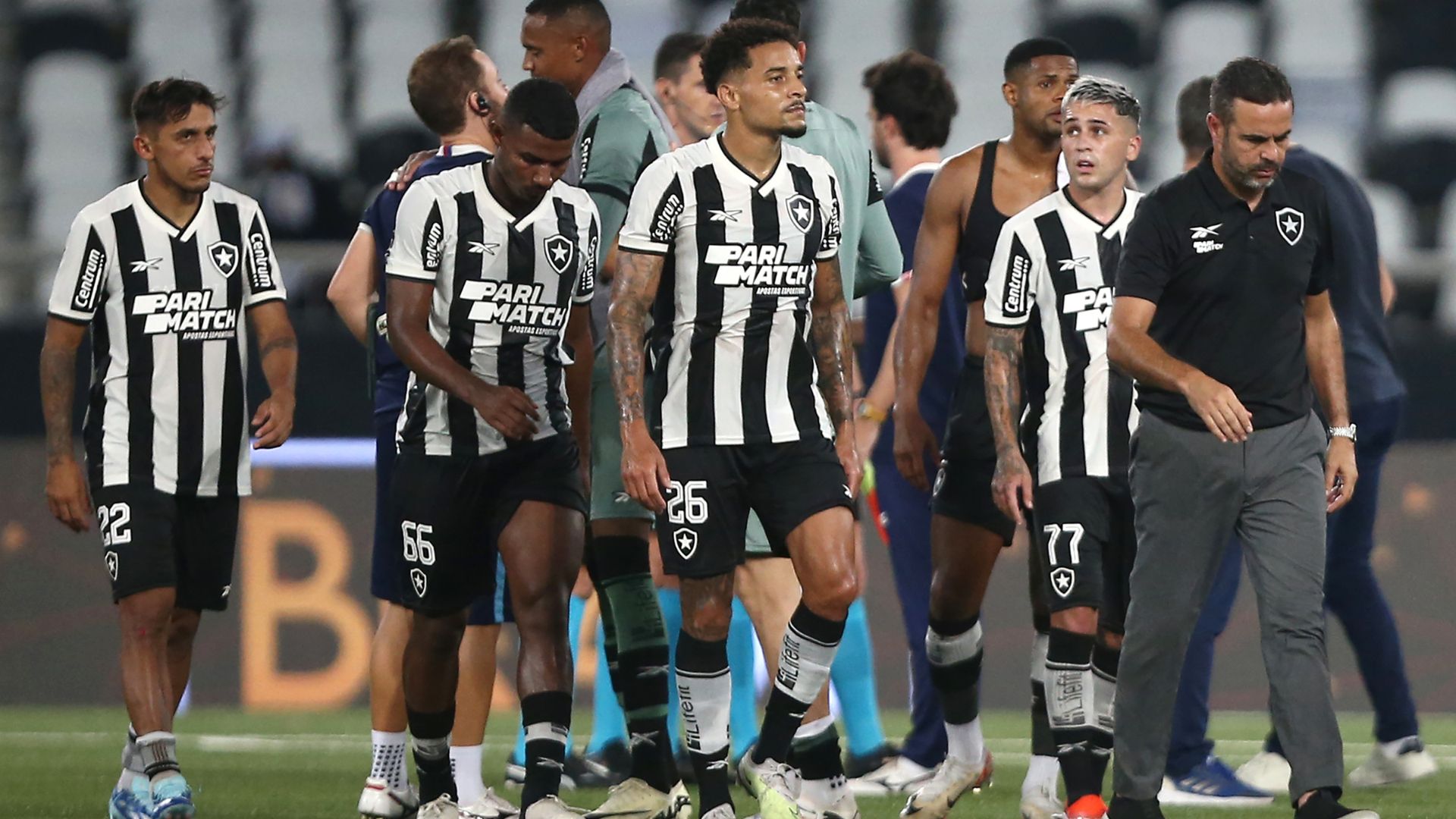 Botafogo foi derrotado no Campeonato Brasileiro