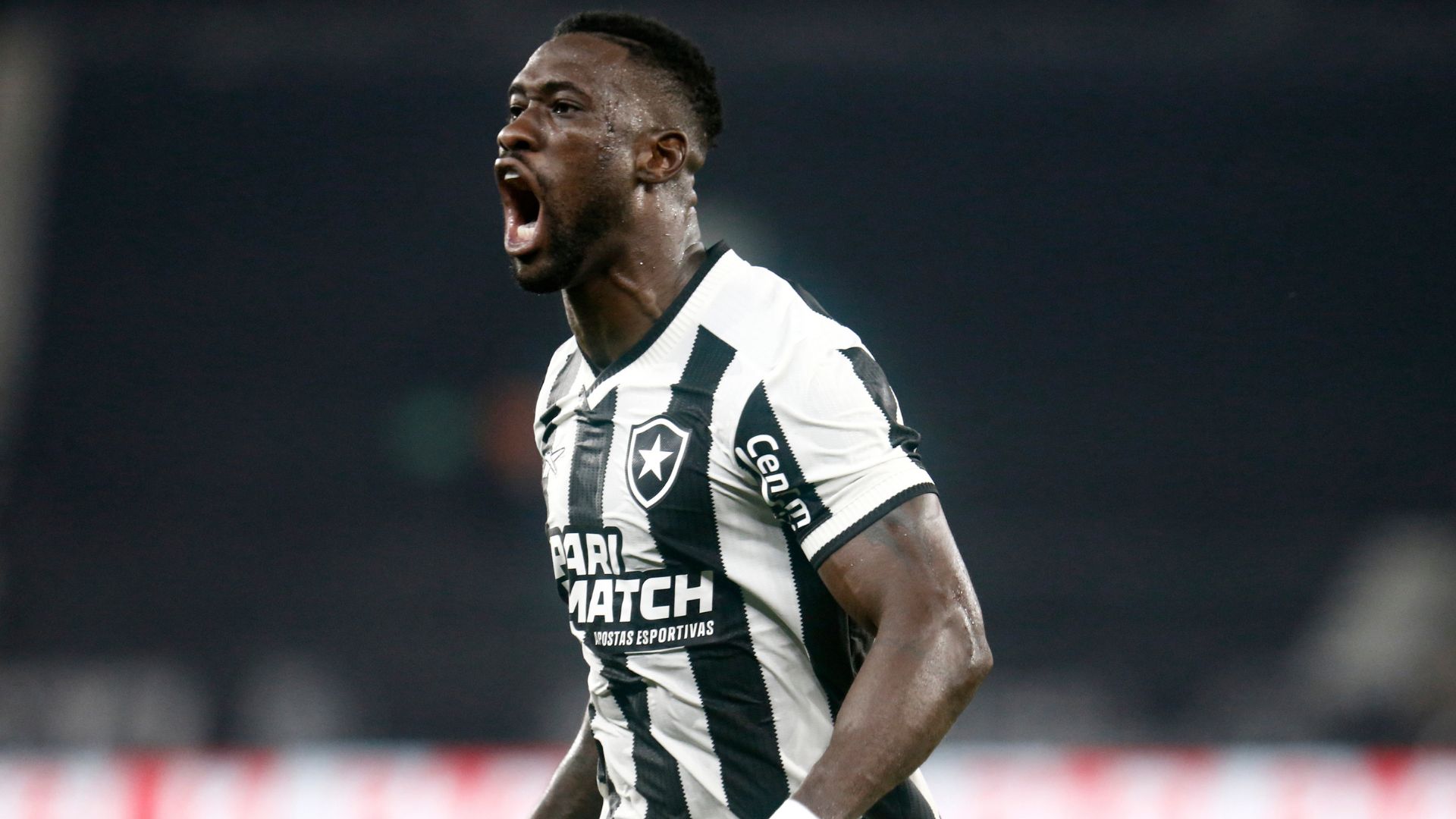Botafogo busca reforços após últimos tropeços