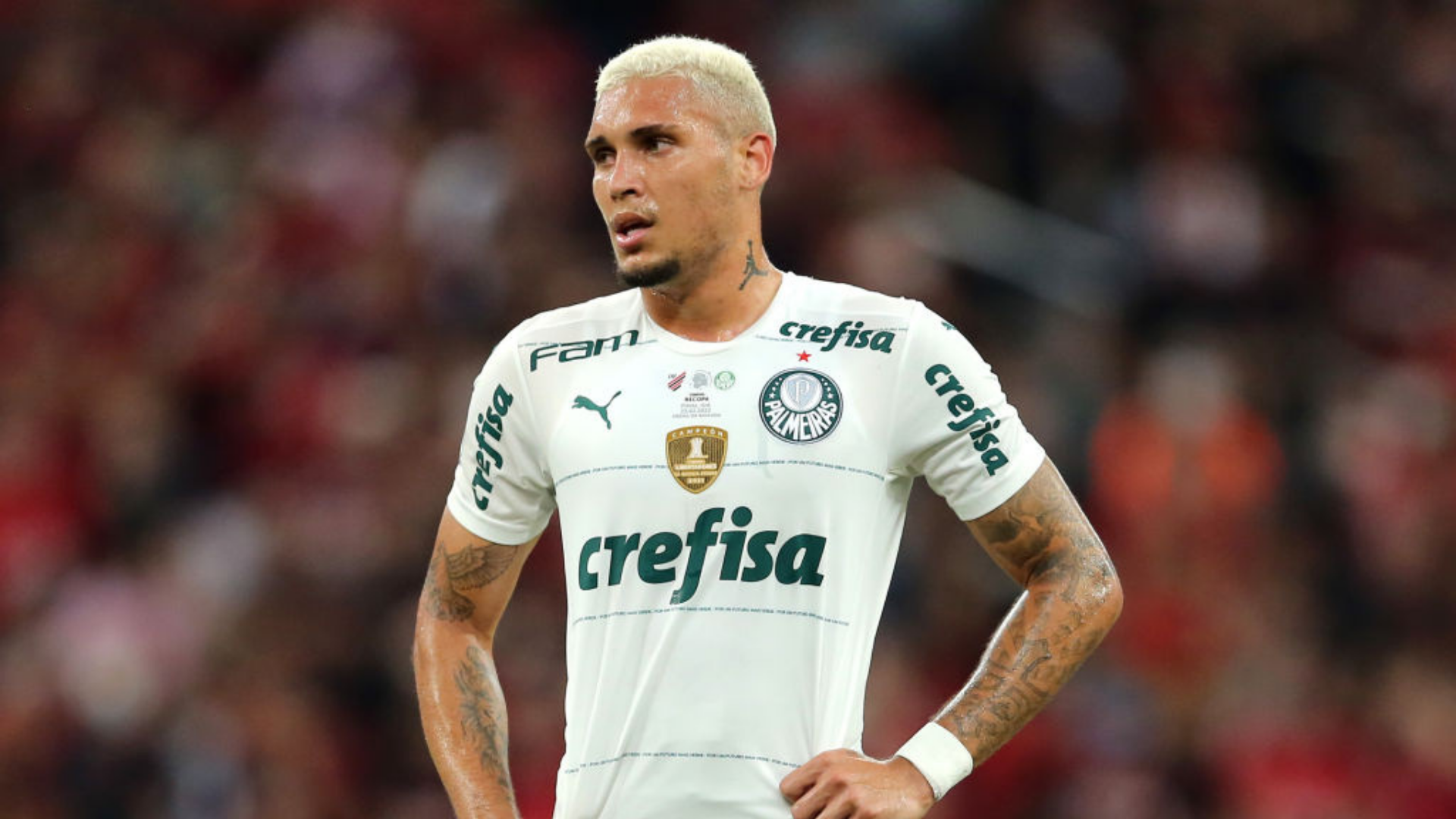Rafael Navarro, jogador do Palmeiras que Abel Ferreira revelou ter proposta