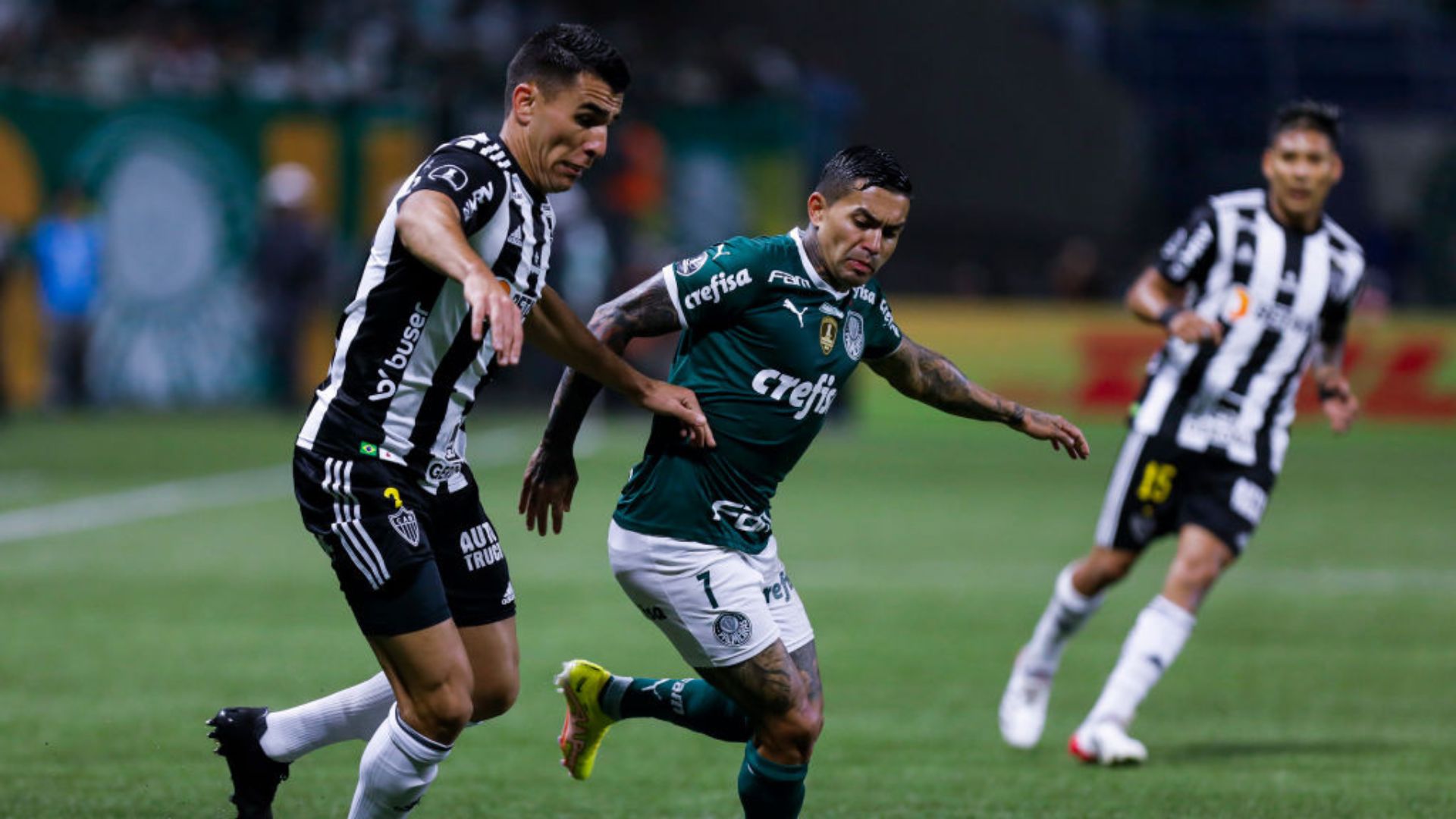 Atlético-MG x Palmeiras em campo pela Libertadores