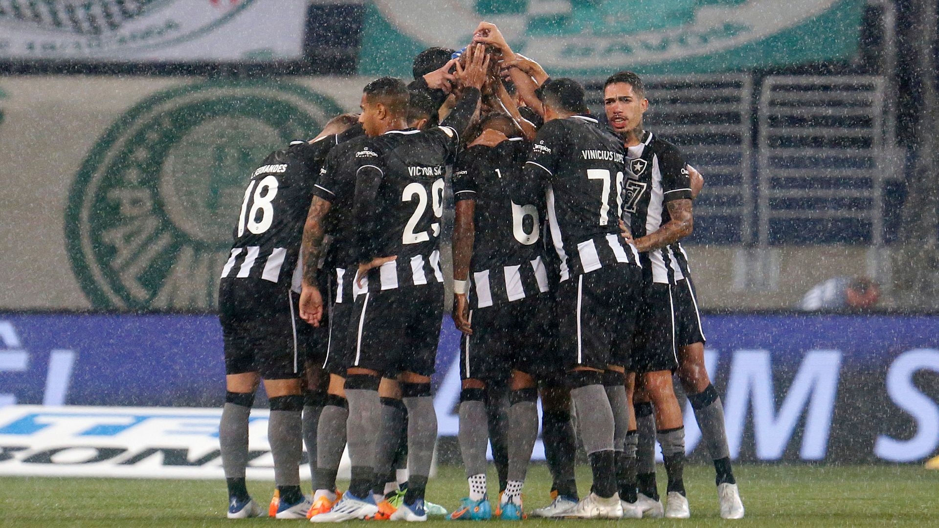 Botafogo perde para o Palmeiras