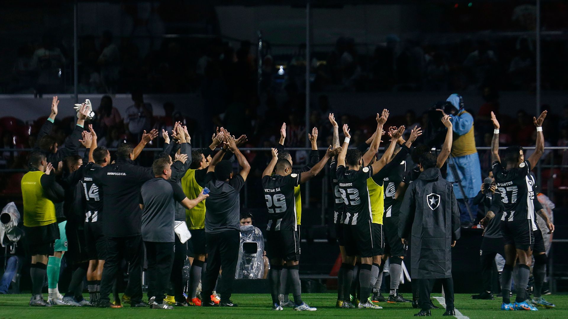 Botafogo vive boa fase no Brasileirão