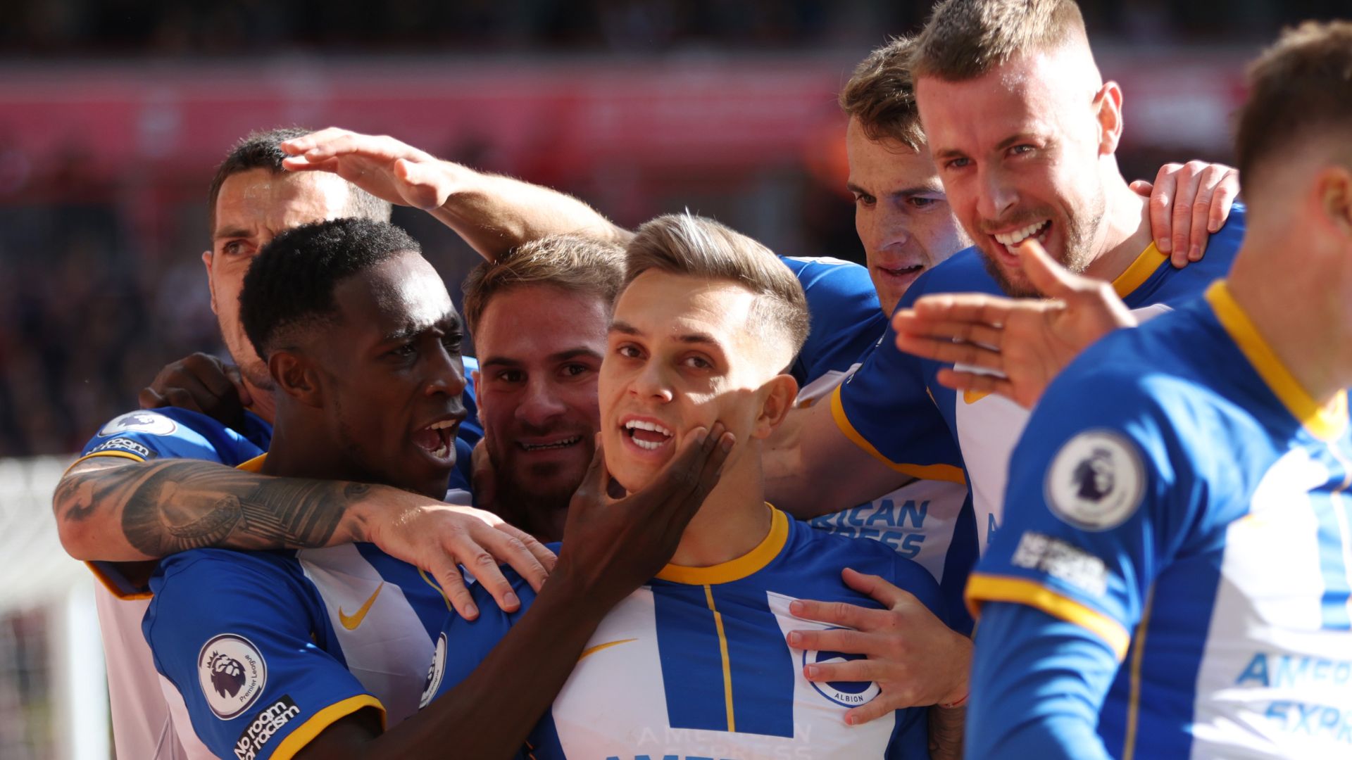 Jogadores do Brighton comemoram gol contra o Liverpool