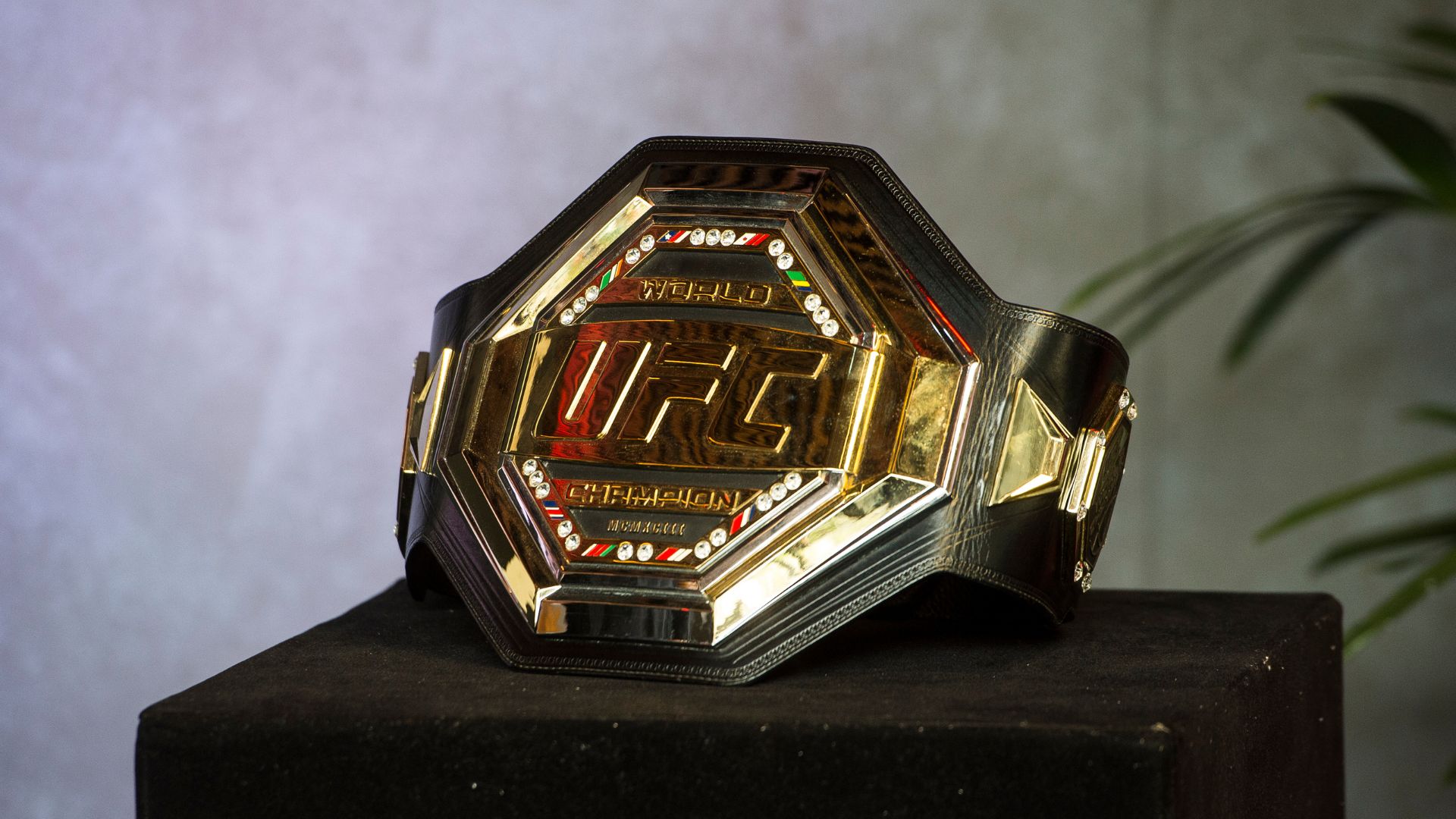 Band será a nova casa do UFC e transmissões começam a partir de 2023