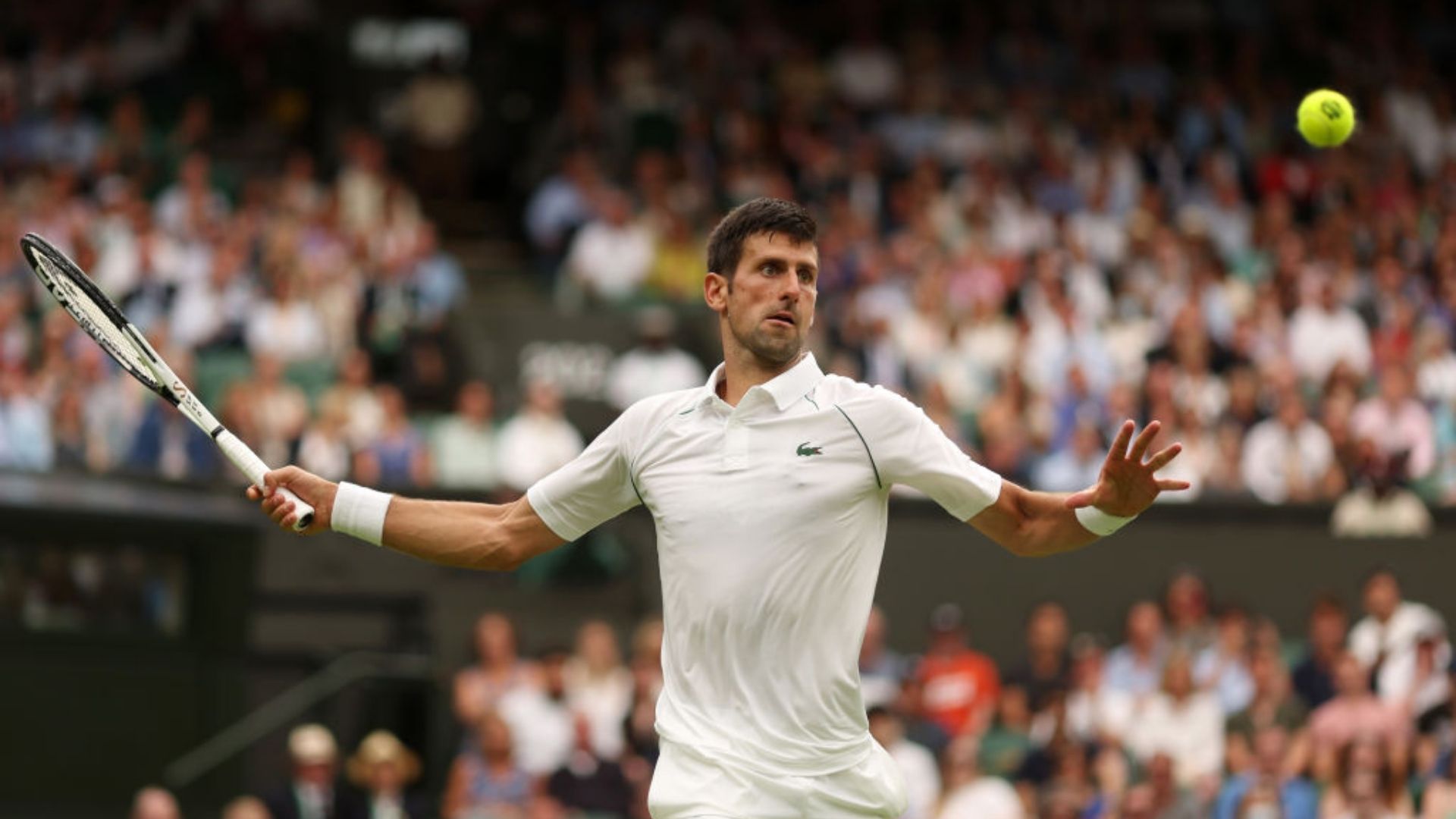 Djokovic durante a disputa em Wimbledon 