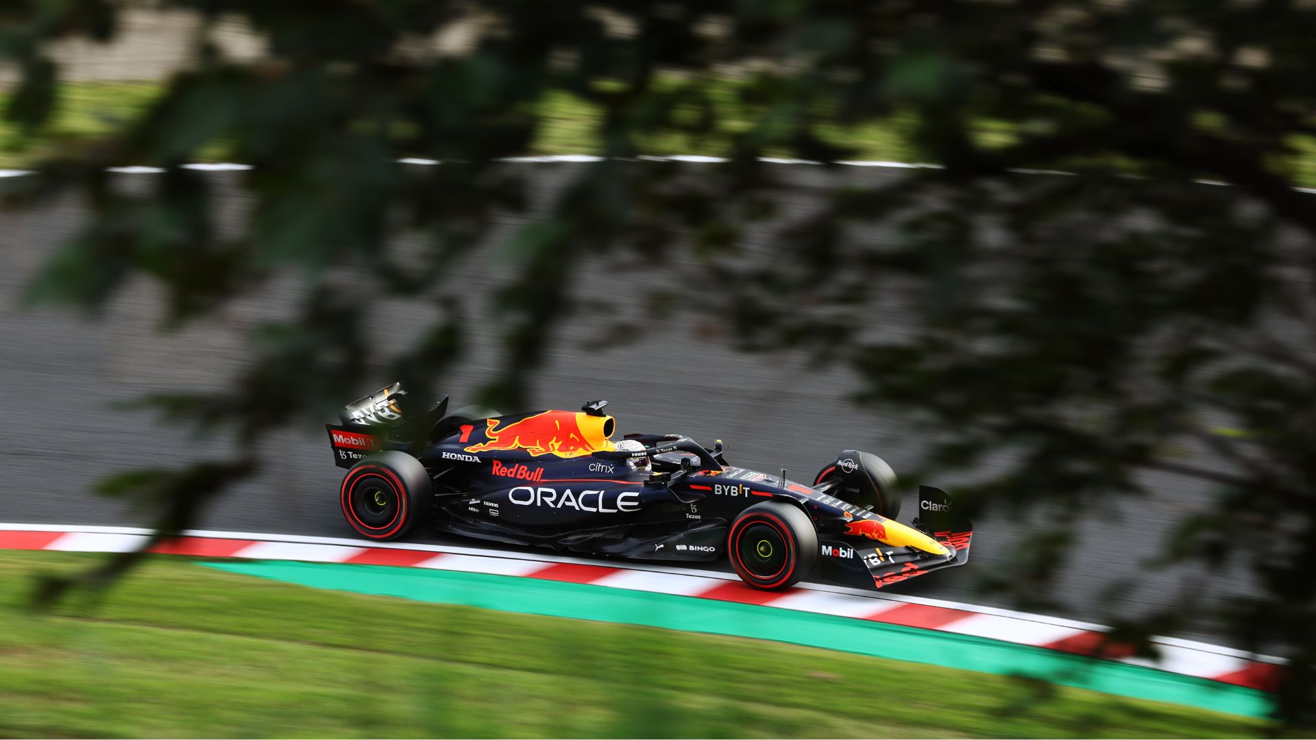 Max Verstappen, pilotando pela Red Bull na F1