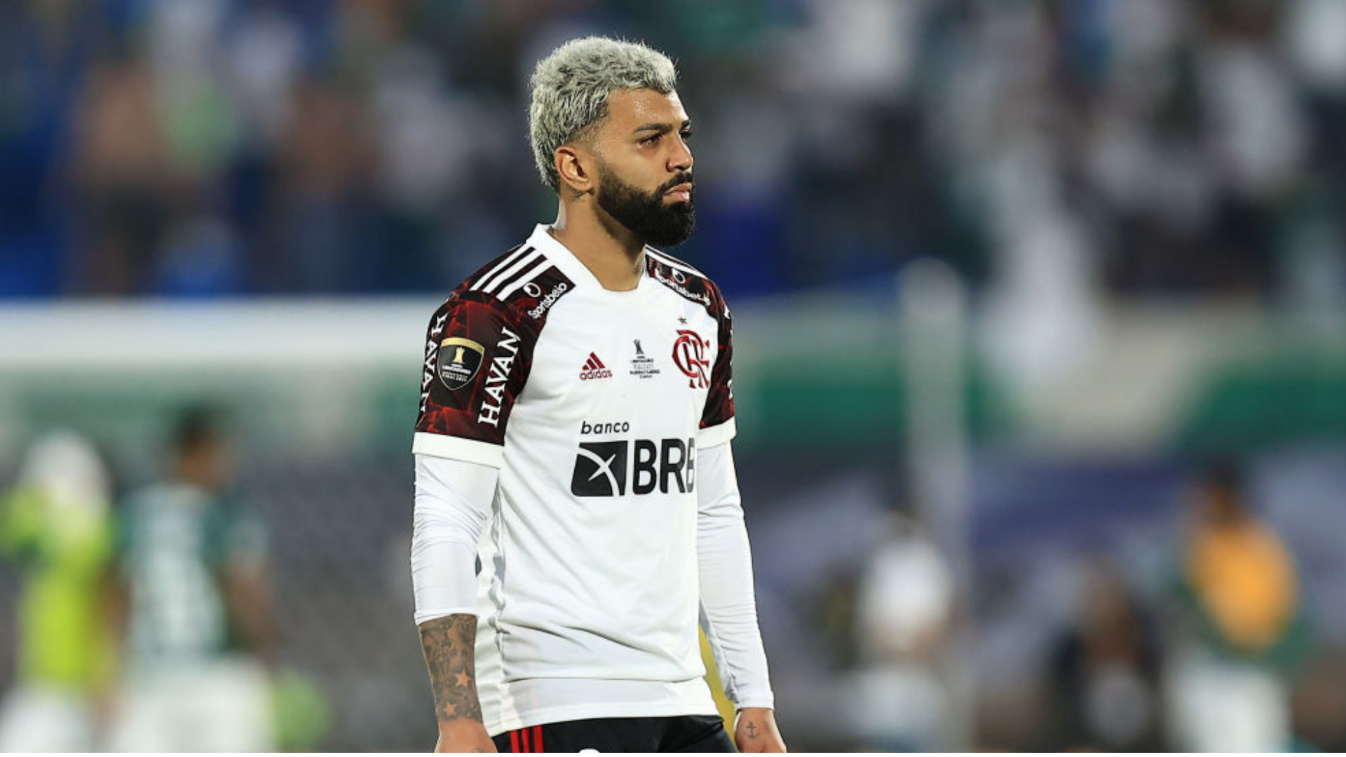 Confira os memes da vitória do Palmeiras sobre Flamengo - Gazeta Esportiva