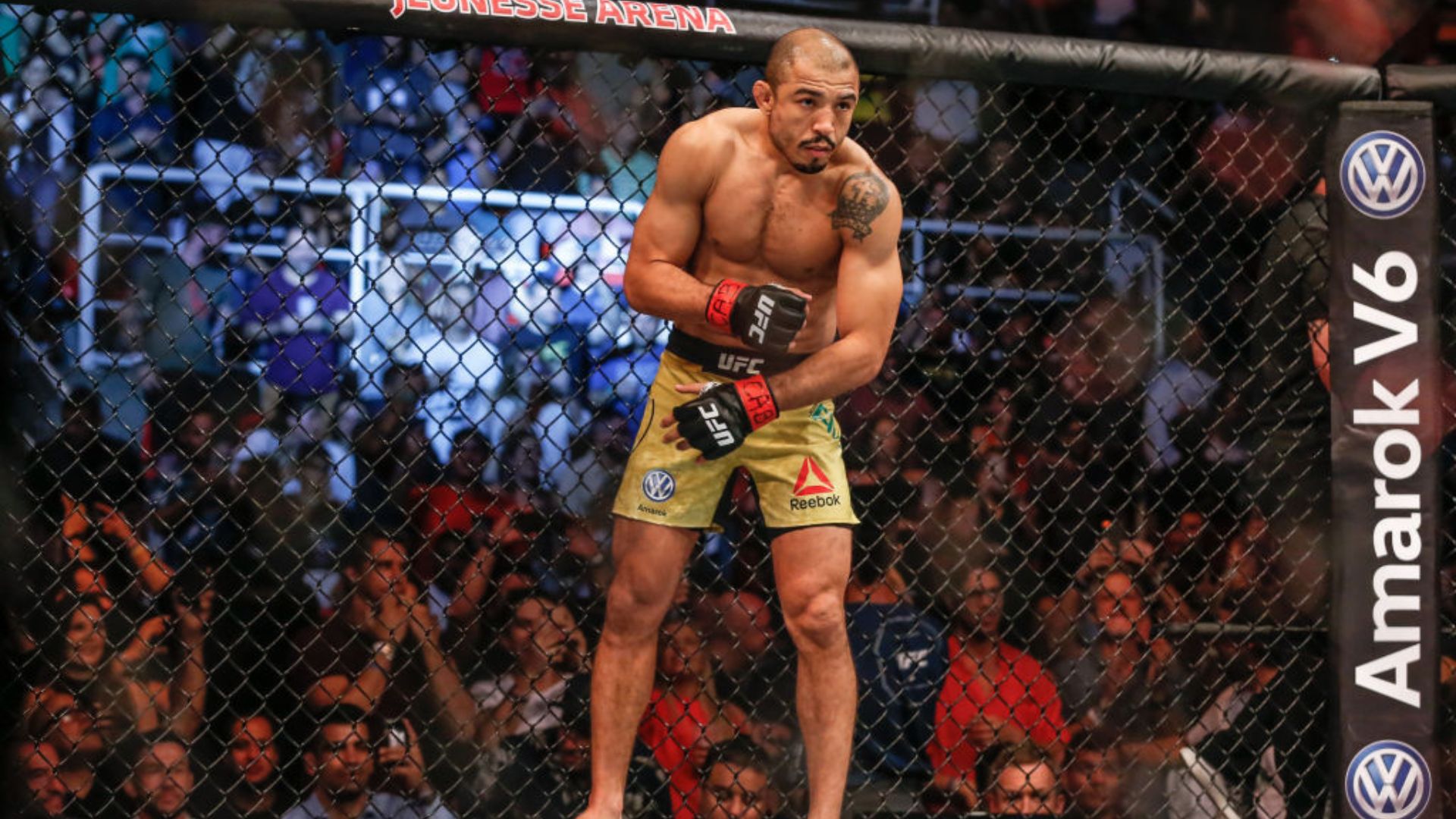 José Aldo no ringue do UFC