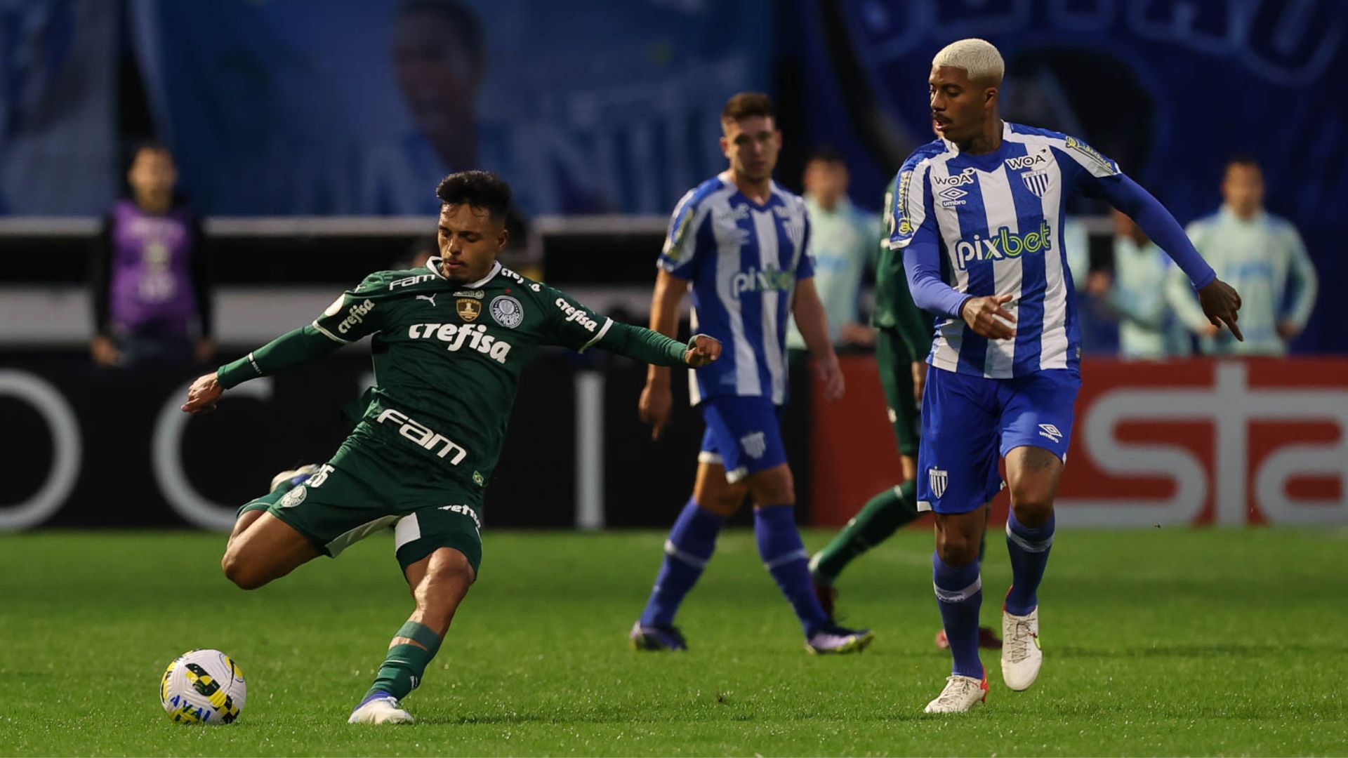 Palmeiras e Avaí se enfrentam em duelo de extremos (Crédito: Cesar Greco / Palmeiras)