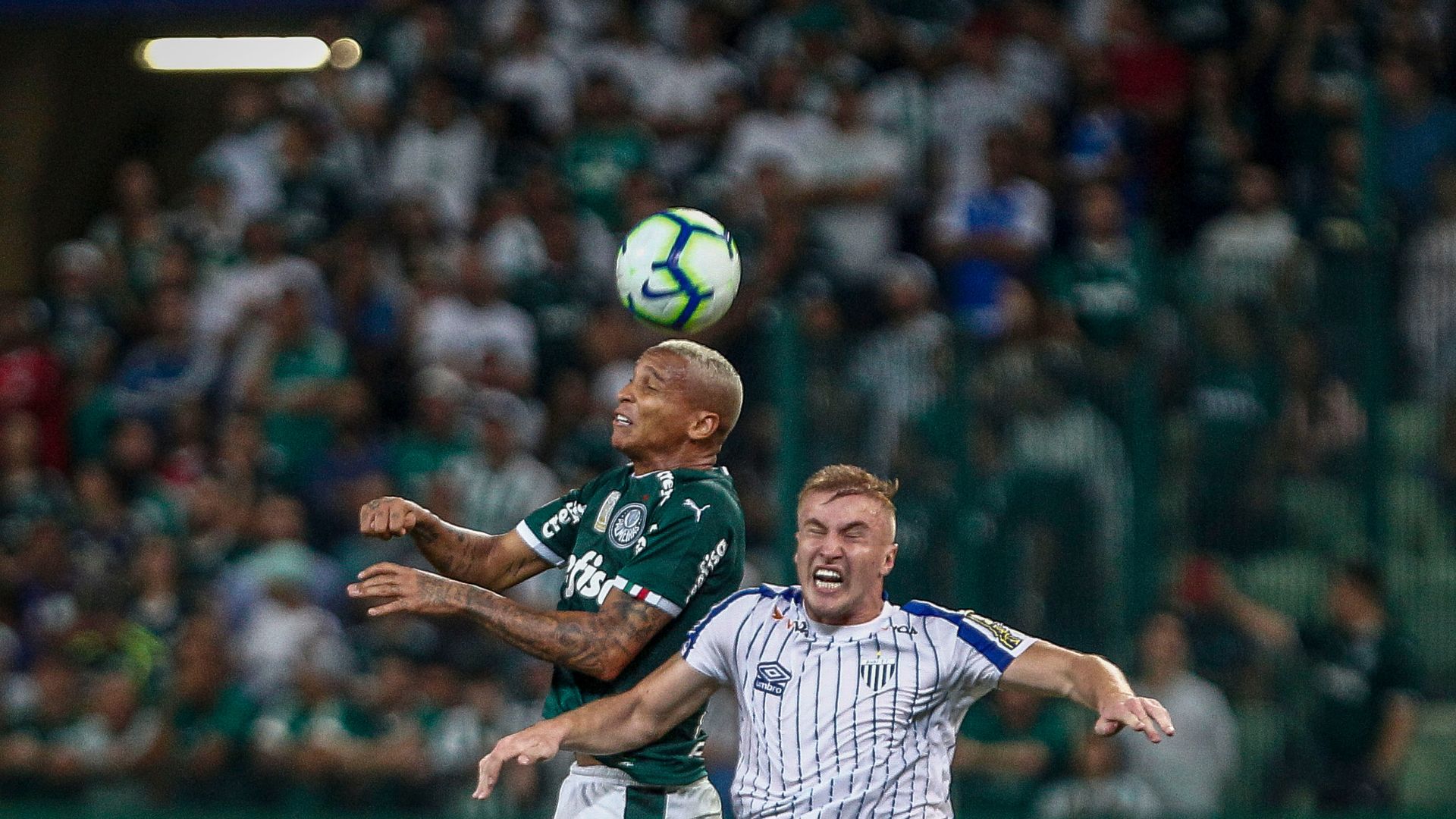 Palmeiras enfrentou Avaí em 2019
