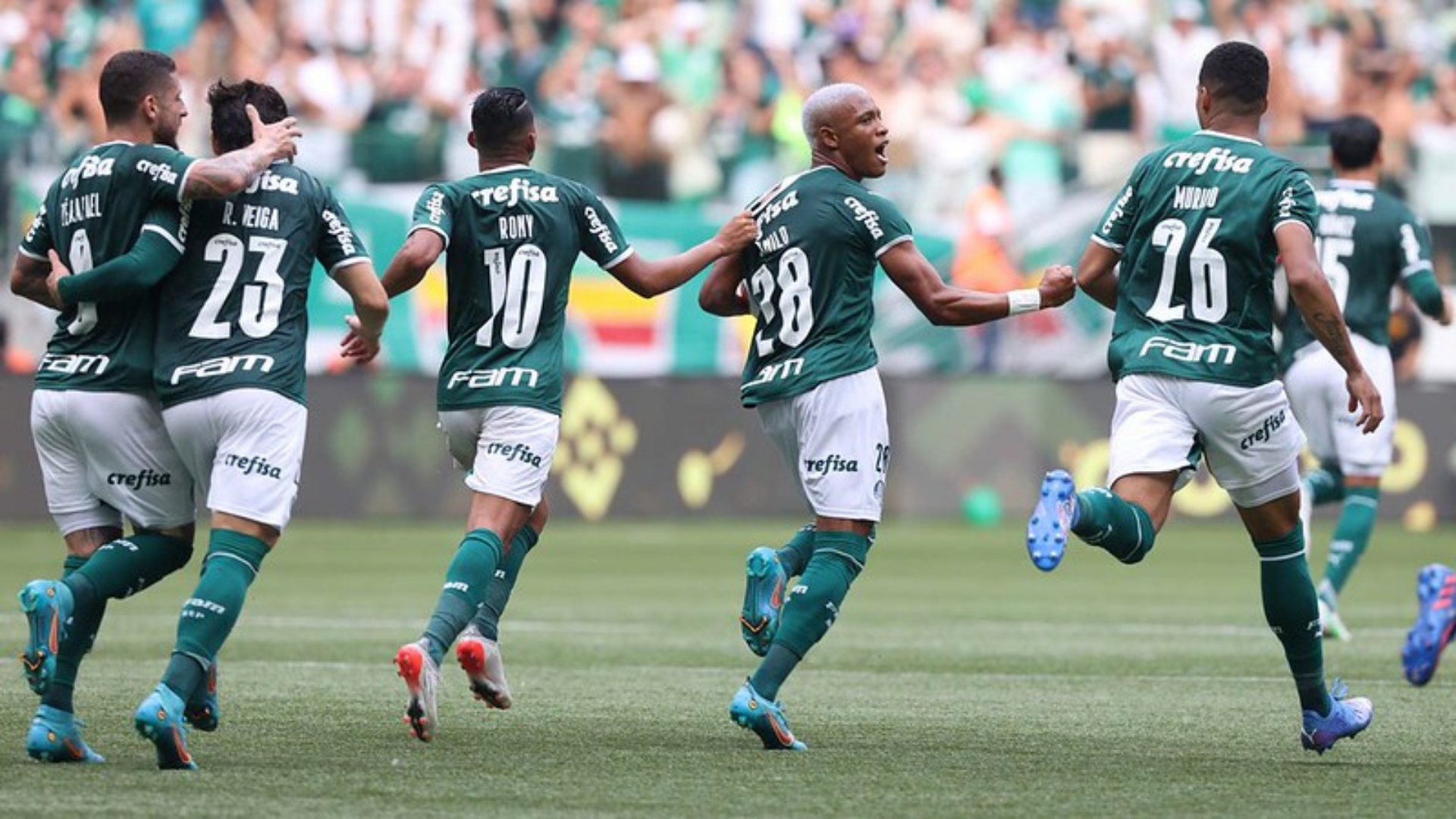 Palmeiras comemorando o gol em campo