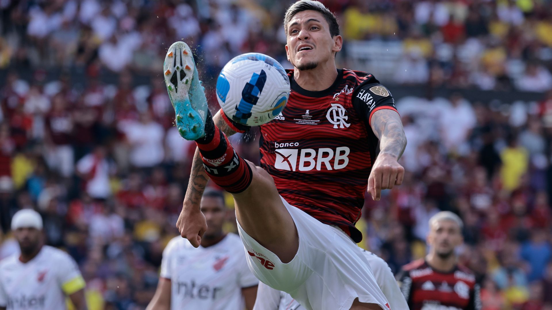Pedro foi eleito o melhor jogador da Libertadores