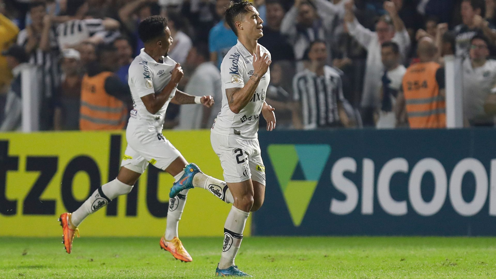 Santos busca reforços para a sequência do Brasileirão