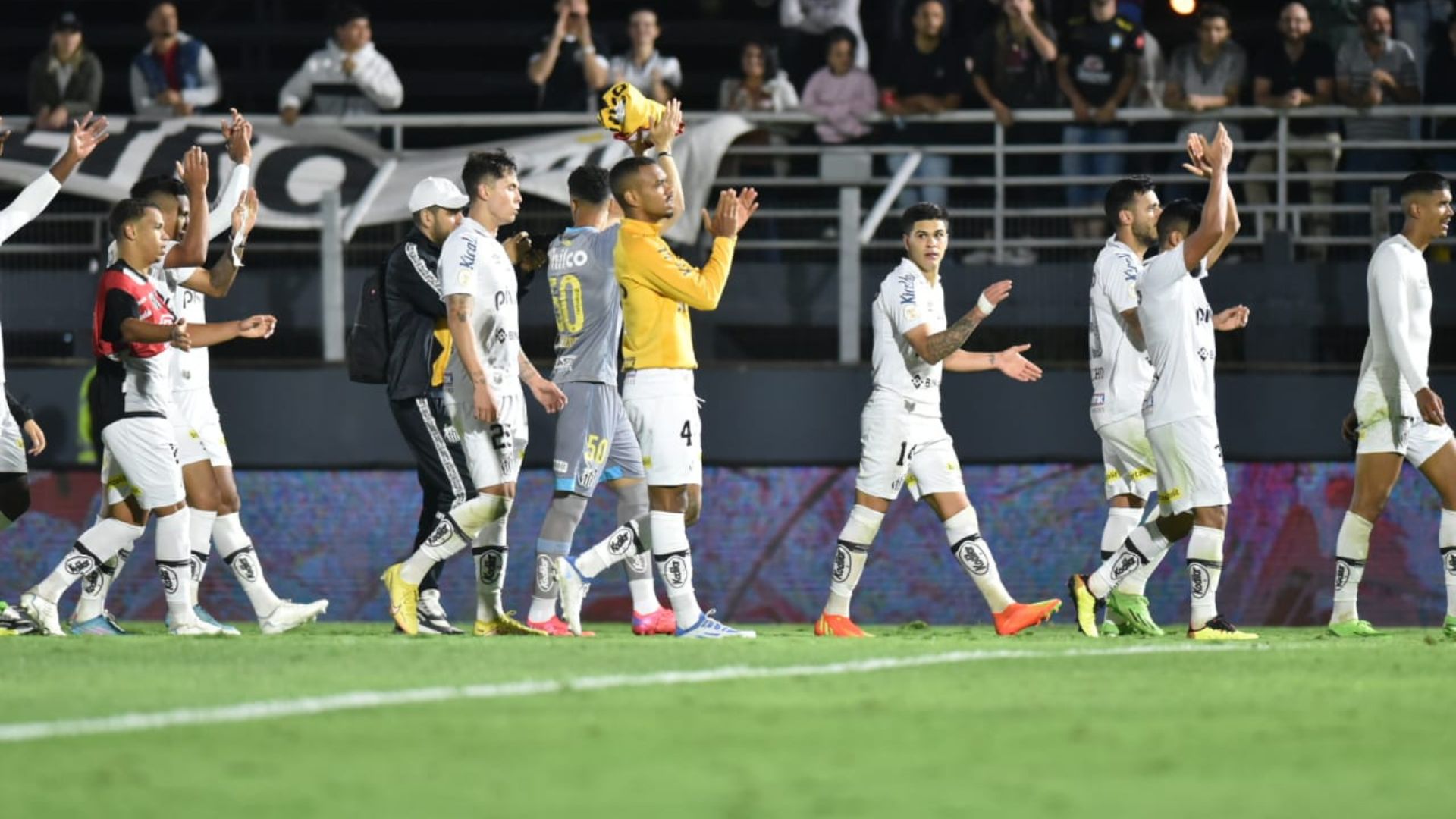 Santos vem de duas vitórias seguidas no Brasileirão